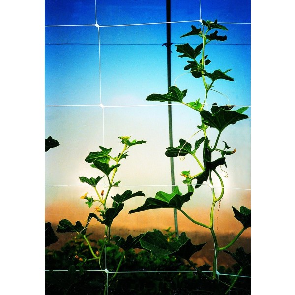 Tenax Hortonova Trellis Net LM Plant Support Netting 59"x10,000 - 1A150149