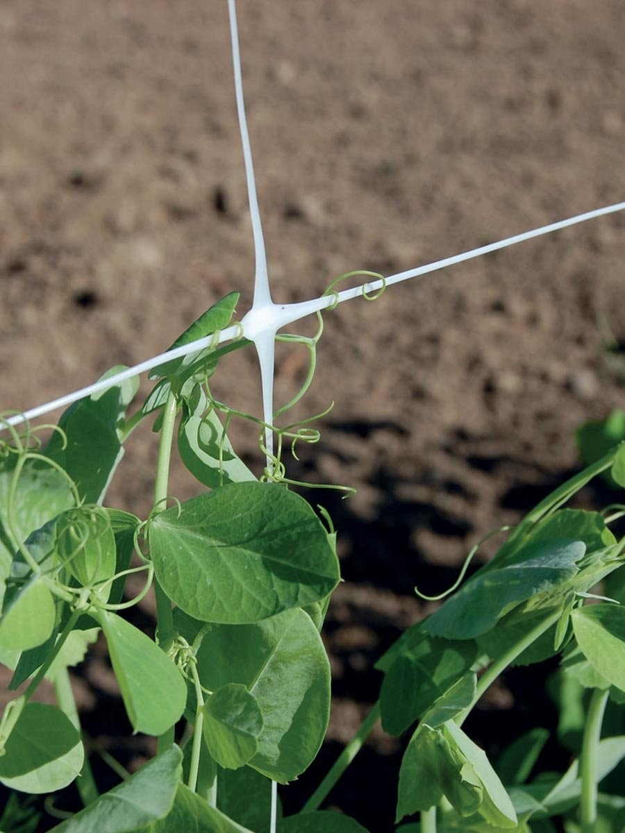 Tenax 79 in. x 3280 ft. White Hortonova Plant Trellis Net