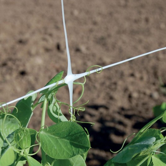 Tenax Hortonova Trellis Net SM Plant Support Netting 48"x10,000' - 1A150148