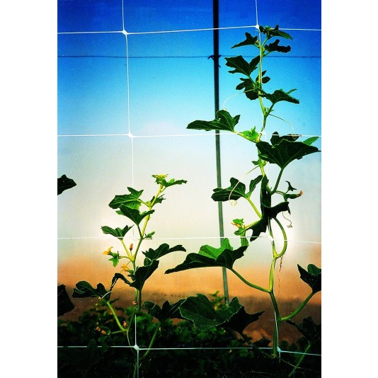 Tenax Hortonova Trellis Net LM Plant Support Netting 79"x10,000 - 1A150151 