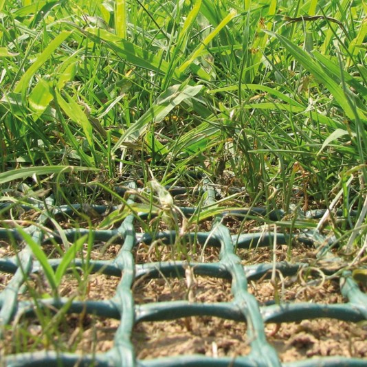 Tenax Grass Protection Panel 6.7' x 3.94' Lawn Protection - 2A220168 (Fence)
