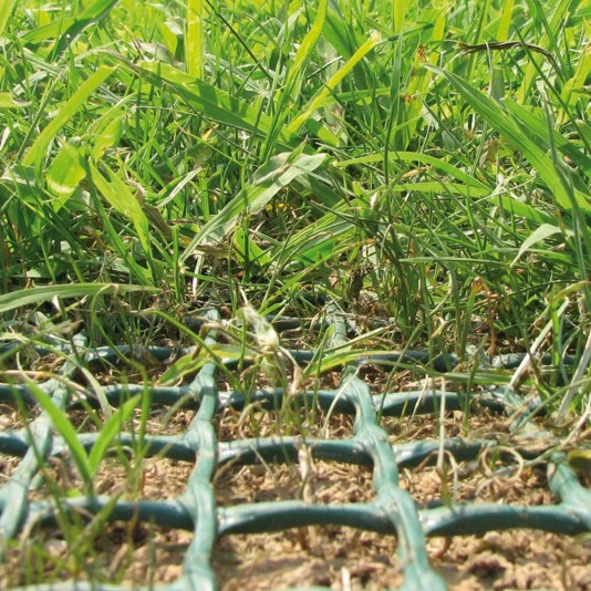 Tenax Grass Protection Mat 6.7' x 60' Lawn Protection - 80003189 (Fence)