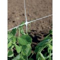 Tenax Hortonova Trellis Net SM Plant Support Netting 48"x1,500' - 1A140318