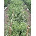 Tenax Hortonova Trellis Net SM Plant Support Netting 48"x1,500' - 1A140318