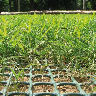 20' L x 3.35' H Tenax Yard Protection Panel | 2 Panels - Green | Tenax ...