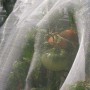 Tenax Insect Net Bag Insect Control Netting 7' X 100' (2A230074)
