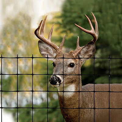 deer fence