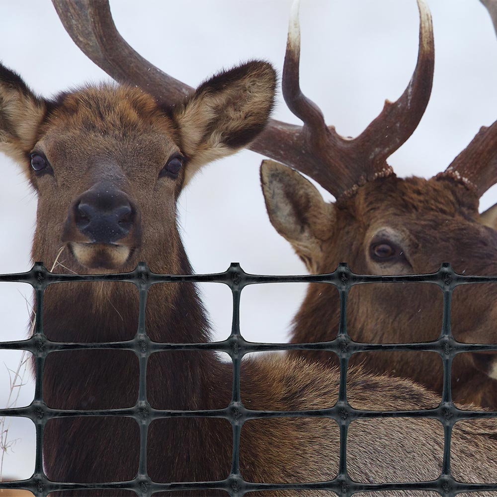 Tenax Fence For Elk And Deer