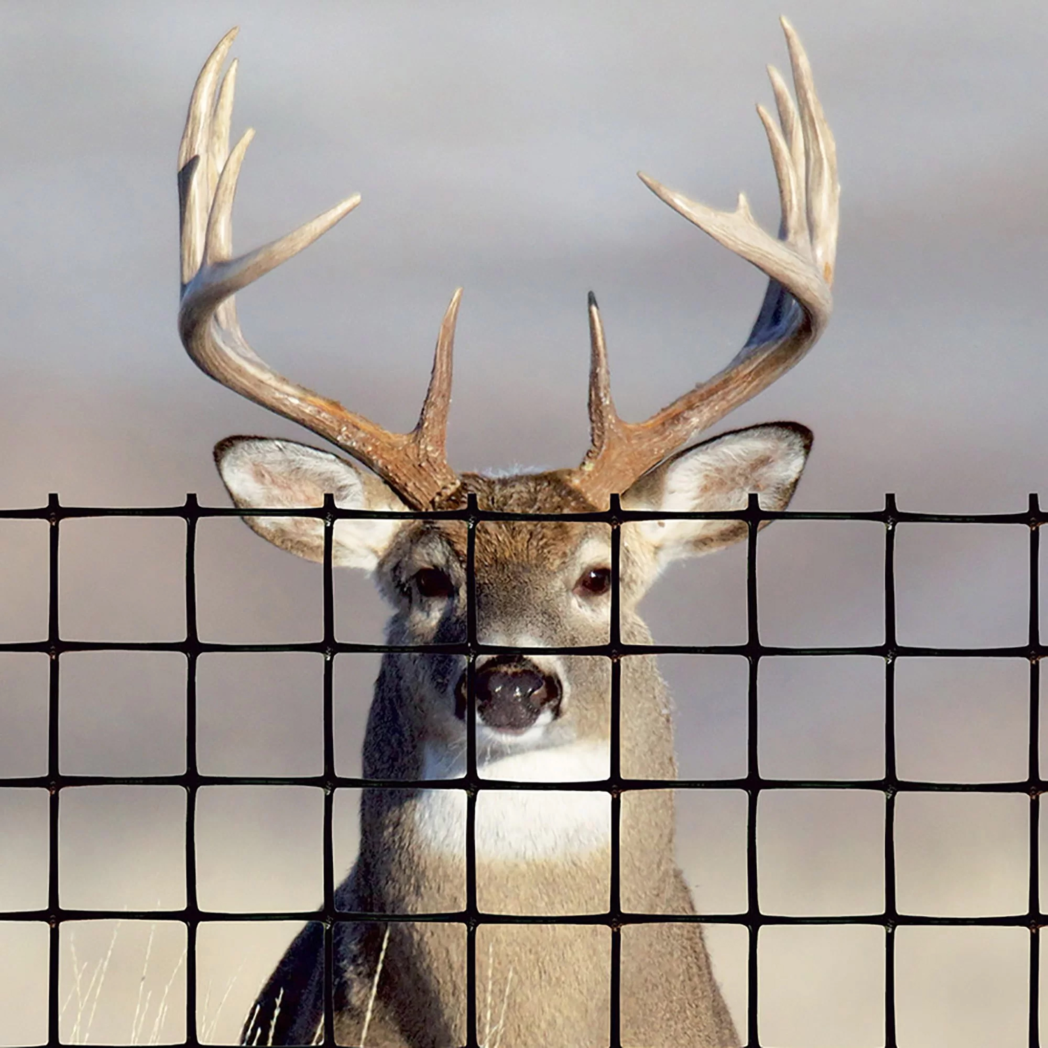tenax deer net