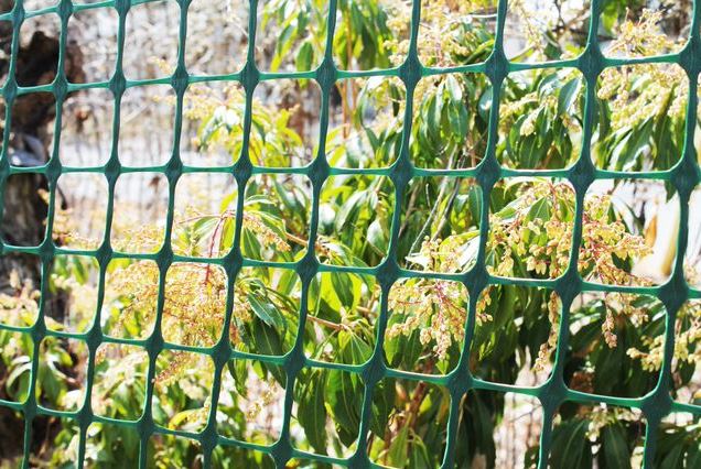 garden fence