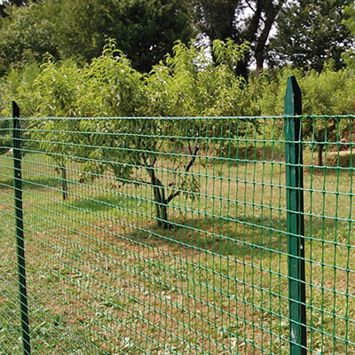 garden fence protecting trees
