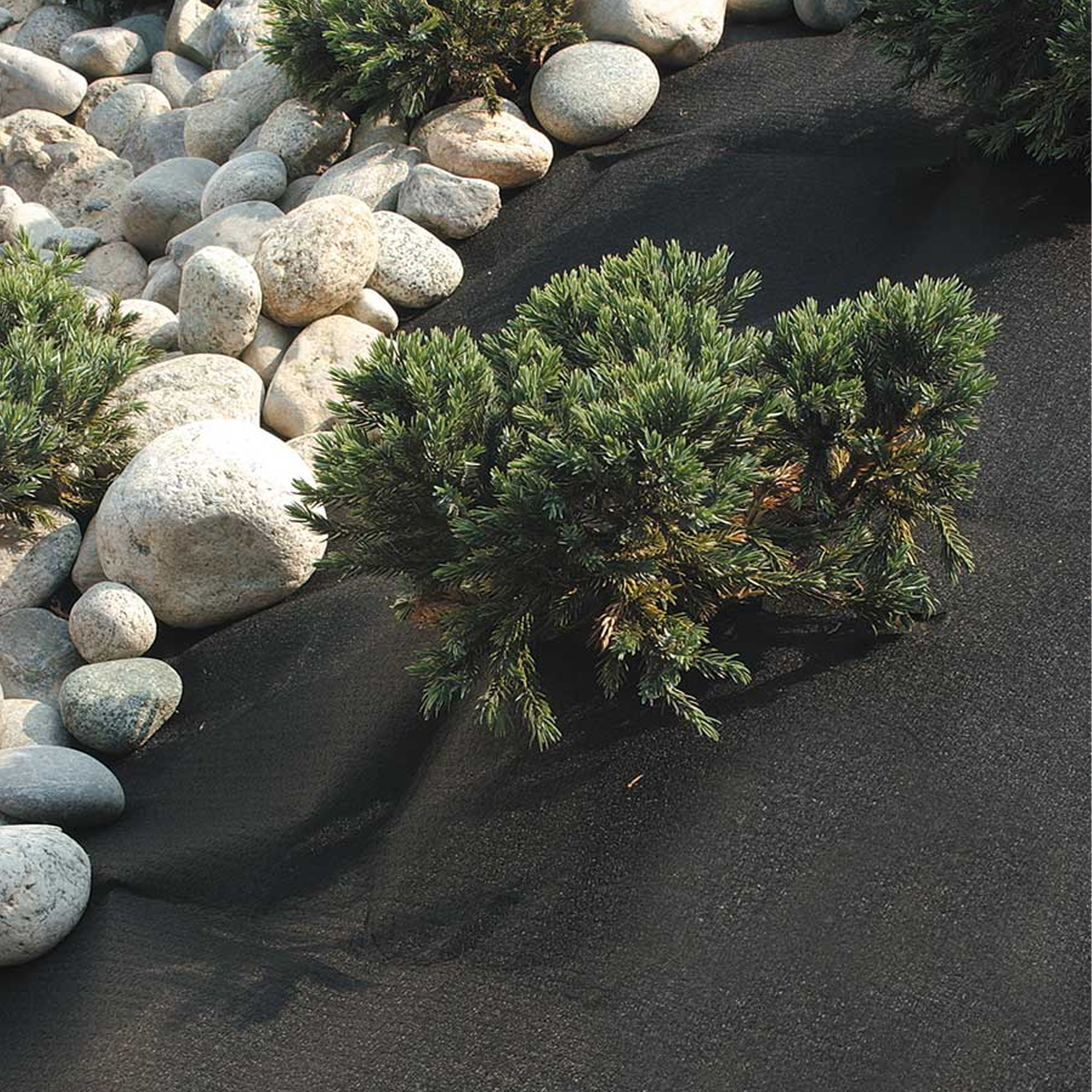 tenax weed protection fabric